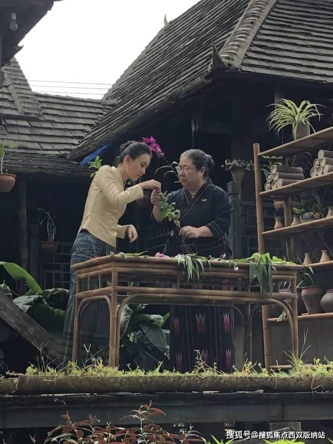 小猫钓鱼游戏龙王版有船